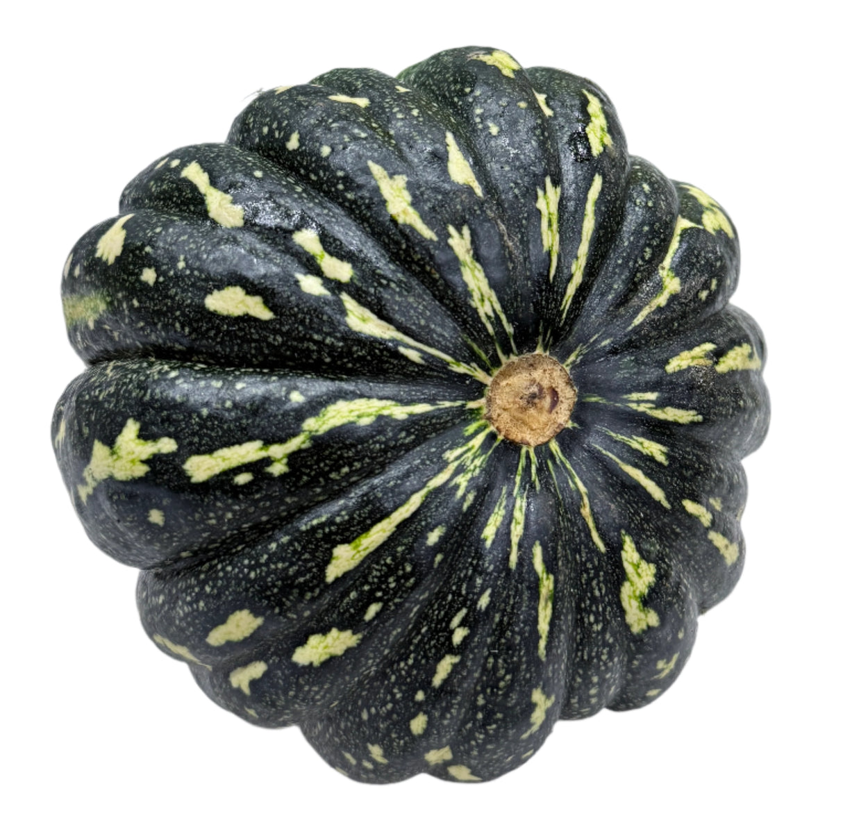 Gatta Small Pumpkin 1Kg