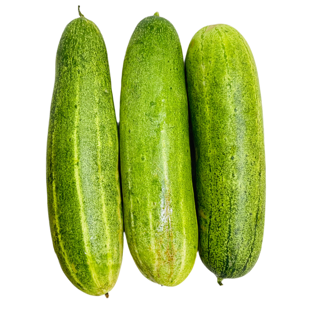 Kakro Nepali Cucumber 1Kg