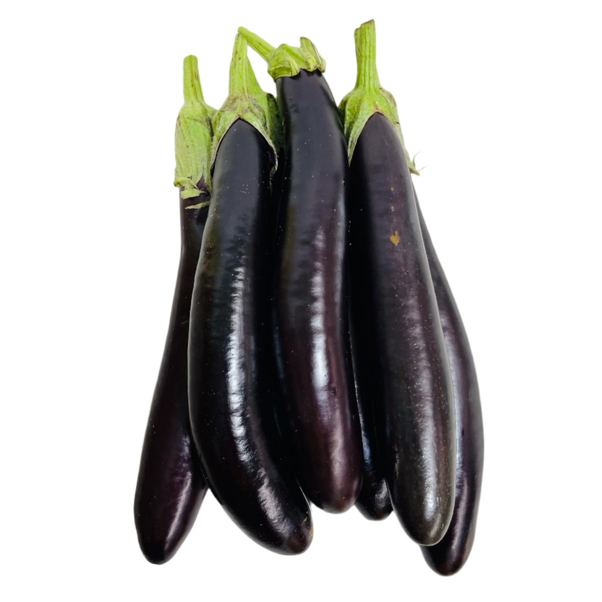 Lebanese Eggplant 1Kg