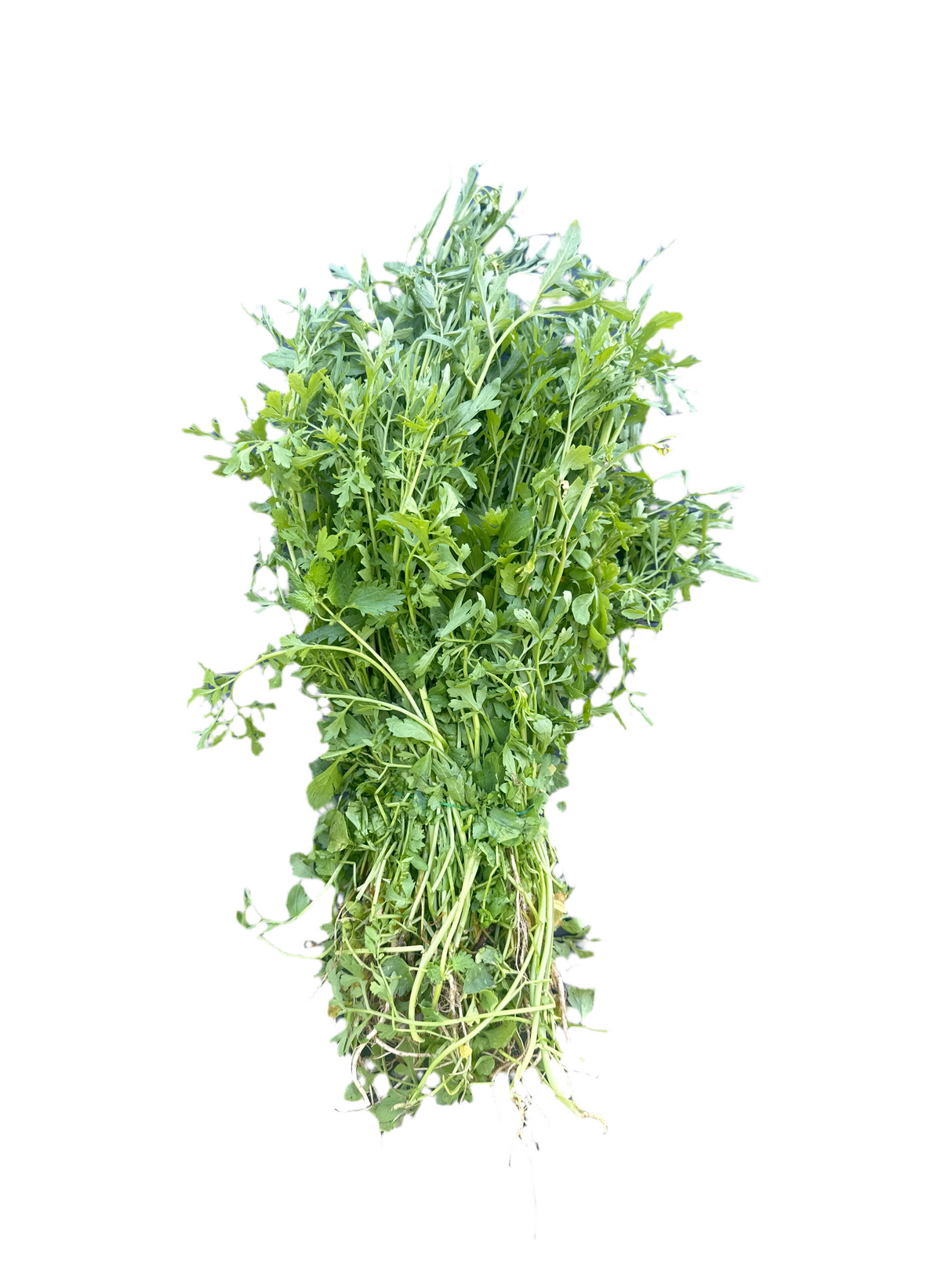 Chamsur ko Saag 1 Bunch