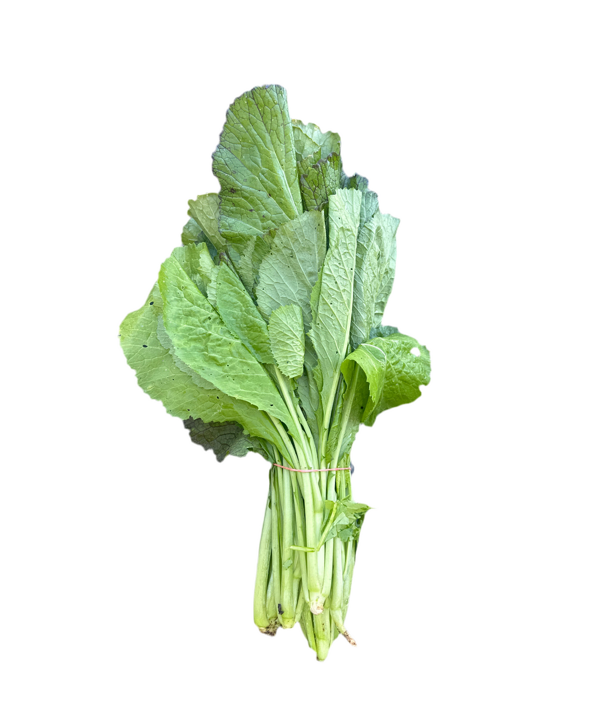 Kalo Rayo Saag 1 Bunch